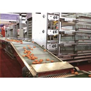 Layer Chicken Egg Farming Equipment Corrosion Resistance Poultry Farm Tools