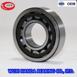China Full Complement Cylindrical Roller Bearing NNF 5004 ADB-2LSV SL04 5004 PP NR supplier