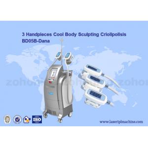 Vacuum Cryolipolysis / Cool Body Sculpting Membrane / Criolipolisis Cellulite Reduction Machine