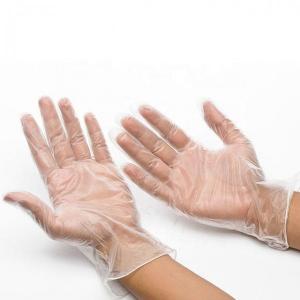 Powder Free Disposable Vinyl Gloves For Foodservice Handling Transparent  1000PCs/CTN