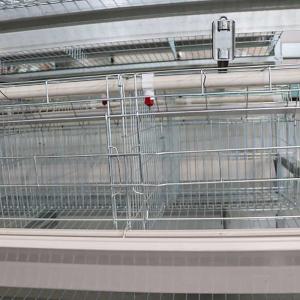 China Adjusting Automatic Battery Cage System , Enriched Wire Steel Cage For Chicken wholesale