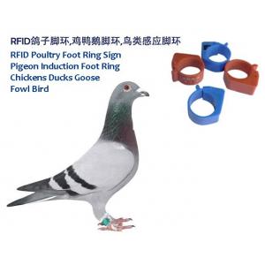 RFID Poultry Foot Ring Sign, RFID Pigeon Foot Ring, Chickens Ducks Goose Induction Foot Ring,  Induction Fowl Foot Ring