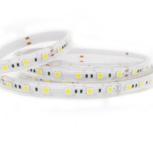 China Silicone Extrusion 5050 Cool White Led Strip 22LM Ip67 Waterproof Rgb Led supplier
