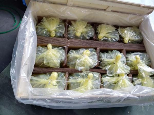 Rexroth A10VSO71 Hydraulic Pump 280 Bar Cast Iron Gear Pump