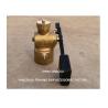 China Technical Parameter For FH65 CB/T3778-1999 Bronze Self-Closing Valve Model  Threaded Ends With Weight Lever wholesale