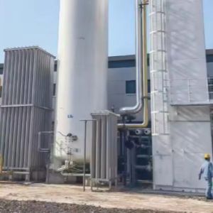 China Automatic PSA Oxygen Generator with 950 Nm3/h Output and 12 Months Warranty for Medical Oxygen Generation wholesale