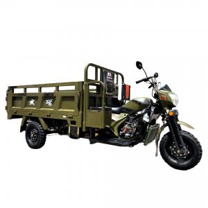 China DAYANG 200cc Motorized Tricycle Fuel Oil Gasoline Remote Control and Water-cooling Engine supplier