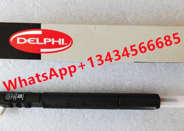 DELPHI fuel injector A6650170221 EJBR04401D S926G03655 Diesel Injector