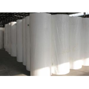 China 100% PET Non Woven Fabric cloth Polyester Non woven Fabric Color Customised supplier