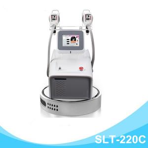 China Mini Cryolipolysis Slimming Machine , Portable Coolsculpting Fat Freezing supplier