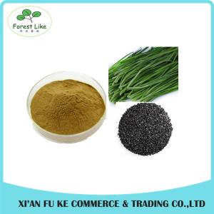 Free Sample Natural Vegetable Leek Seeds Extract Powder 5:1 10:1