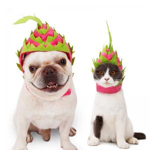 China Headset Fire Dragon Fruit Shape Pet Headdress For Christmas supplier