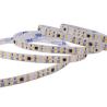 China No-driver High Voltage 220V Driver-free Self-adhesive Light Strip 240leds smd 2835 IP67 IP65 Decorative Line Light wholesale