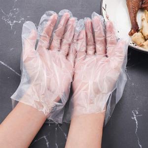 China Clear Disposable Plastic Gloves Garden Restaurant Home Food Baking Tool supplier