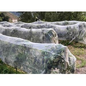 UV Protection Agriculture Insect Net Orchard Insect Mesh High Density Greenhouse Insect Net