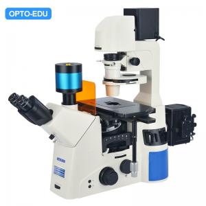 China Opto Edu A16.1097 Lcd Touch Screen Fluorescence Stereomicroscope supplier