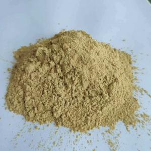 Focus Herb Natural Tongkat Ali Extract