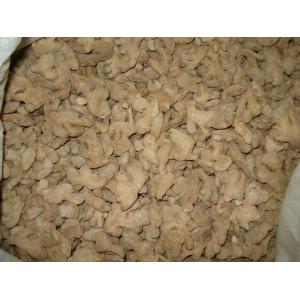 China Natural Yellow Dehydrated Ginger Root Whole Part With Fresh Materials supplier