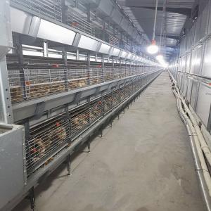China Metal 4 Tiers Chick Brooder Cage Rearing From 1 Day Old To 16 Weeks supplier