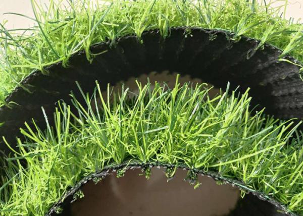 13650 Density Plastic Synthetic Decorative Artificial Grass