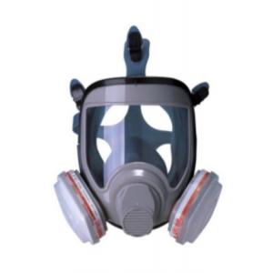 China TPE Grey Full Face Respirator Protection Dust Respirator Mask Dust Gas Defense supplier
