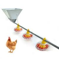 China Original factory wholesale, flat chicken goose automatic feeding system, chicken duck feed line on sale