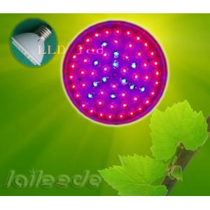 China 2.5W T5 Full Spectrum 600W Indoor Led Grow Light Panels with Bridgelux Chip for Garden supplier