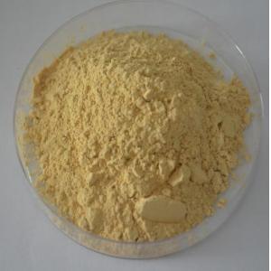 100% natural Panax Ginseng Extract Ginsenosides 20% -80% UV,CAS Number :41753-43-9