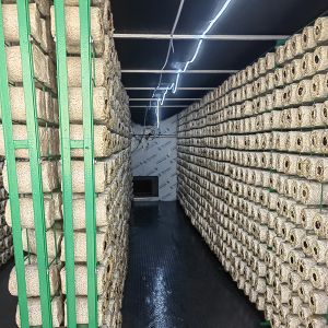 China マルチ層温室保温板 培養キット wholesale