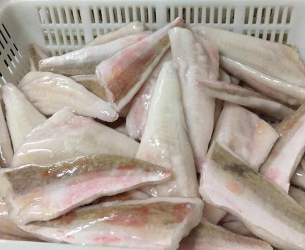 Frozen red gurnard fillets skin-on IQF