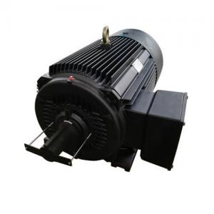 High Efficiency Variable Speed Permanent Magnet Motor IPM SPM