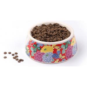 China Lovely Personalized portable pet dog food water bowl ceramic plastic, Drink Dispenser Dog Cat Feeder Water Bowl, pet bow supplier