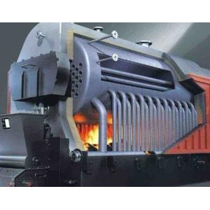 China DZL Industrial Biomass Boiler , Wood Fired Steam Boiler Easy Operation supplier