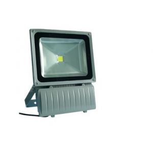 China Warm White Cool White High Power Led Flood Lights Outdoor Lighting 100w supplier