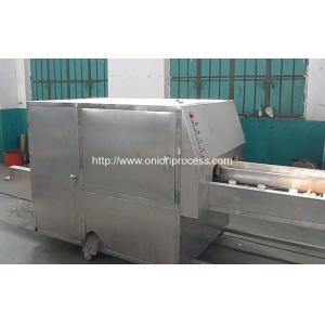 Double Belt Onion Root Cutting Machine Manufacture