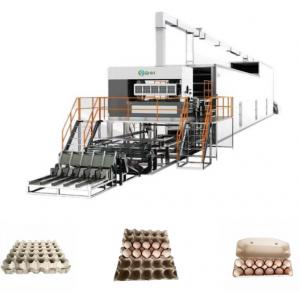 China High Speed Automatic Egg Tray Machine With PLC Control System supplier