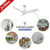 China Modern Design Home Office LED Ceiling Fan with 3 Color LED Light and Three ABS Blades wholesale