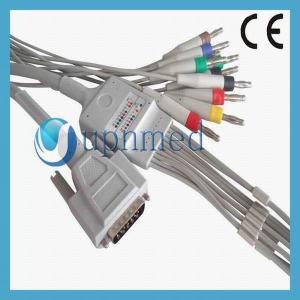 China Nihon Kohden 10 lead EKG cable,Banana 4.0mm supplier