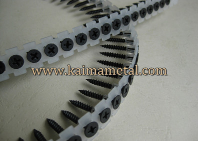 China Point noir Sharp, triées placoplâtre vis supplier