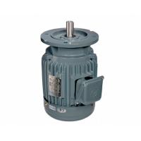 China Iec 62841 2 Iec 63 B14 Iec Standard Motor Frame Sizes 3 Phase Asynchronous Motor on sale