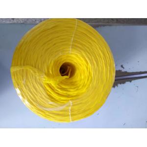 2mm Polyprolylene Pp Twine 400m/Kg 1600m Banana And Fishing