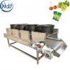 Soft Packing Cleaning Industrial Food Dehydrator , Vegetable Dryer Machine