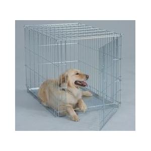 China now dog products supplier