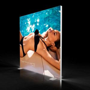 China Customized Colors Backlit Seg Fabric Frames , Frameless Led Light Boxes supplier