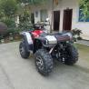 EEC COC 550cc 4x4 Street Legal ATV Utility Vehicles 4 Strokes Water Cooled