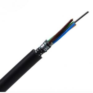 China G652D Aerial Self Supporting Outdoor Fiber Optic Cable GYTS/GYTA Armoured supplier