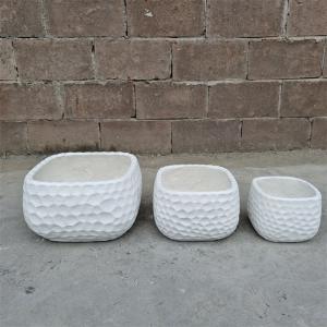 China Indoor Decorative Small Flower Pots Europe Style Home Floor Planting Flowers supplier