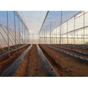 China 250 Meters Insect Screen Mesh ,100% HDPE Greenhouse Insect Protection Netting supplier