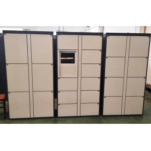 Locker Room Furniture Luggage Lockers Sports Gym Storage Cabinet In White