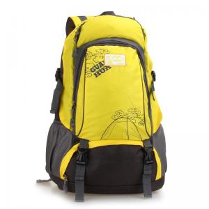 big capacity / backpack / hiking bag / Nylon hiking backpack /sports bag